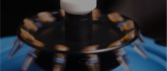 Thường là ba đến bốn tháng.