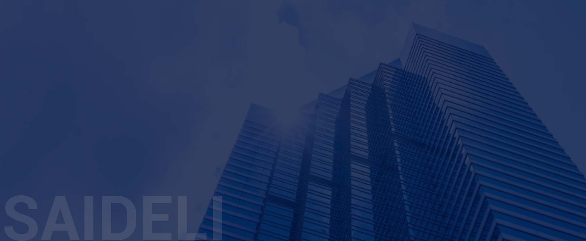 Giới thiệu về saideli