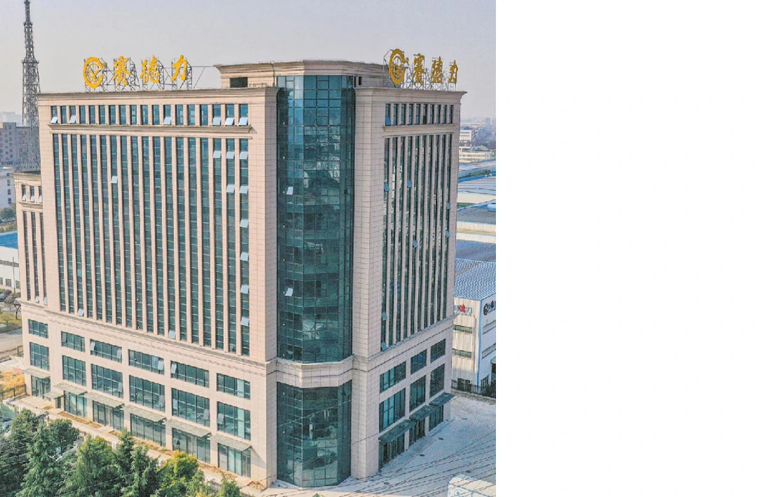 Giới thiệu về saideli